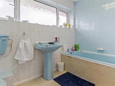Picture 16